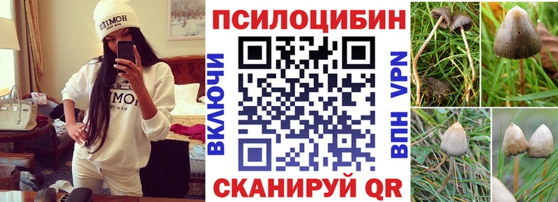 Галлюциногенные грибы Magic Shrooms  blacksprut как зайти  Биробиджан  где продают наркотики 